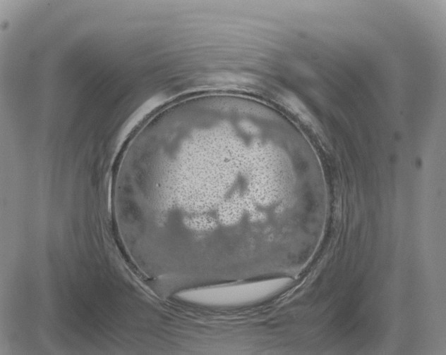 X0000083581275200702231646