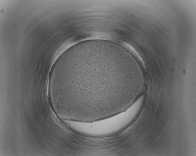 X0000083581276200702231646