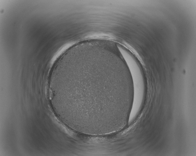 X0000083581277200702231646