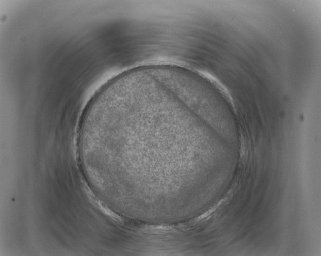 X0000083581278200702231646