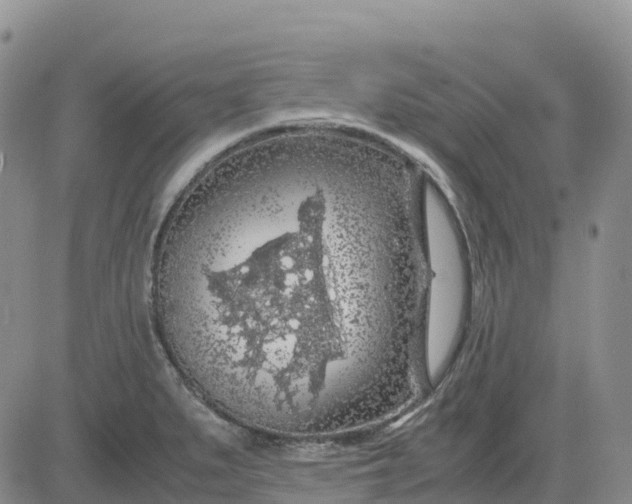 X0000083581279200702231646