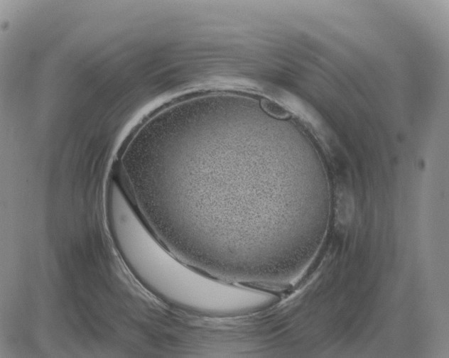 X0000083581280200702231646