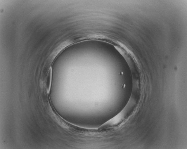 X0000083581281200702231646