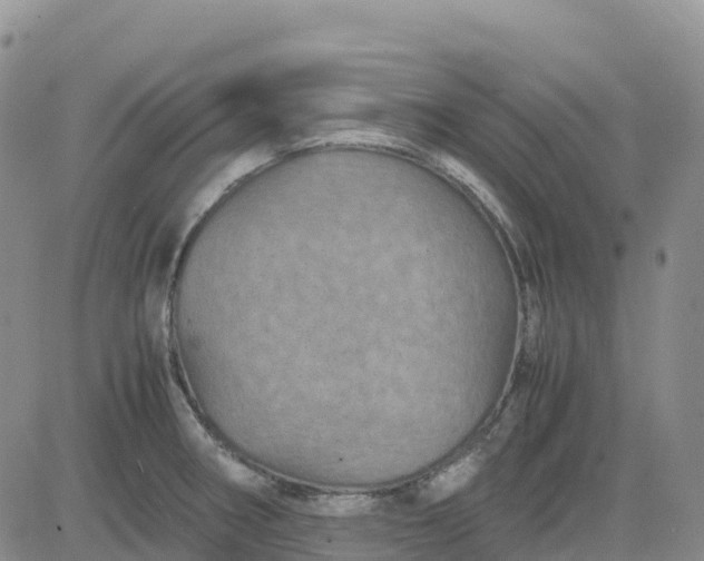 X0000083581282200702231646