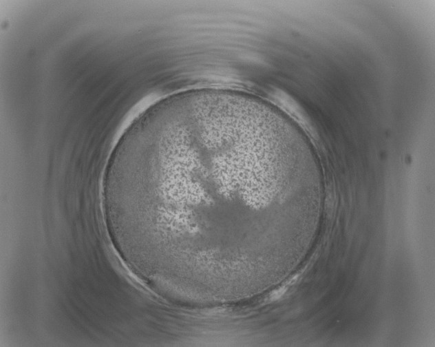 X0000083581283200702231646