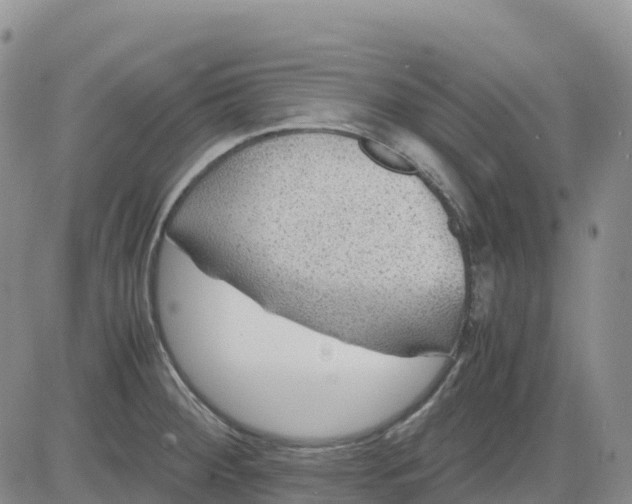 X0000083581284200702231646