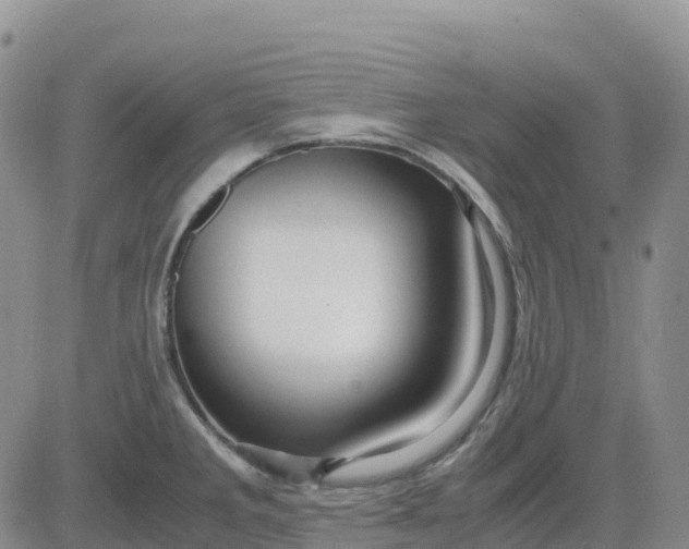 X0000083581285200702231646