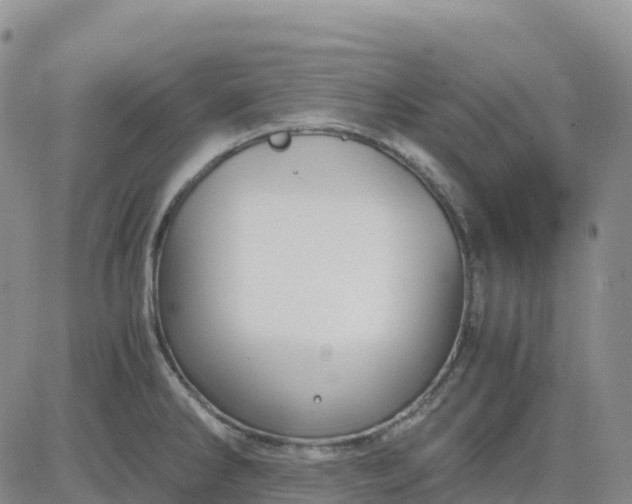 X0000083581286200702231646