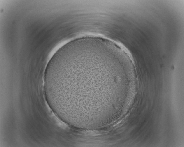 X0000083581287200702231646