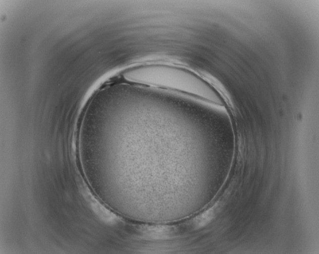 X0000083581288200702231646