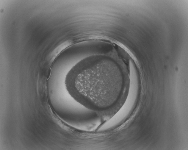 X0000083581289200702231646