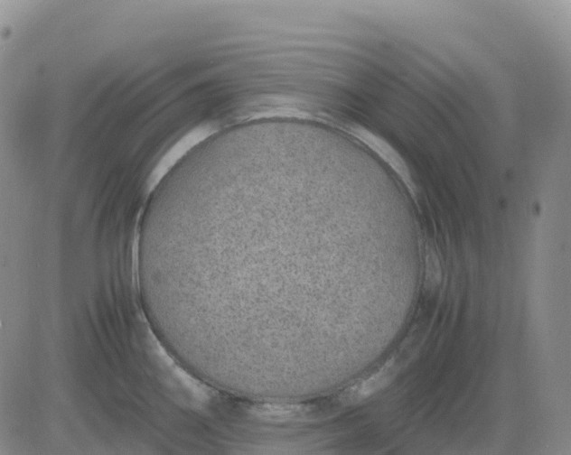 X0000083581290200702231646