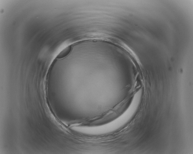 X0000083581291200702231646