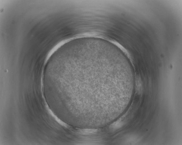 X0000083581294200702231645