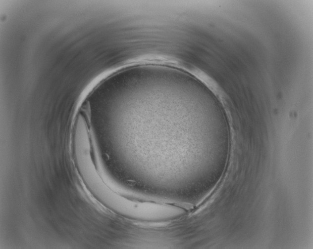 X0000083581296200702231645