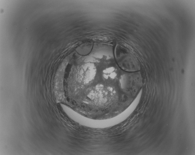 X0000083581297200702231645