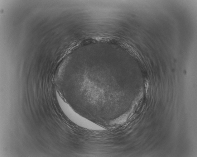 X0000083581298200702231645