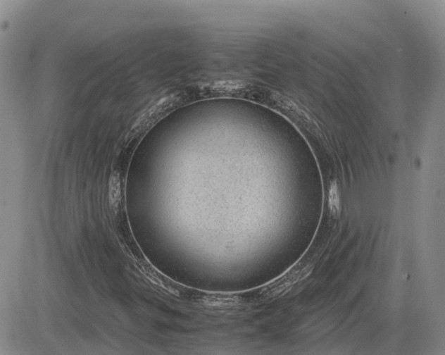 X0000083581299200702231645