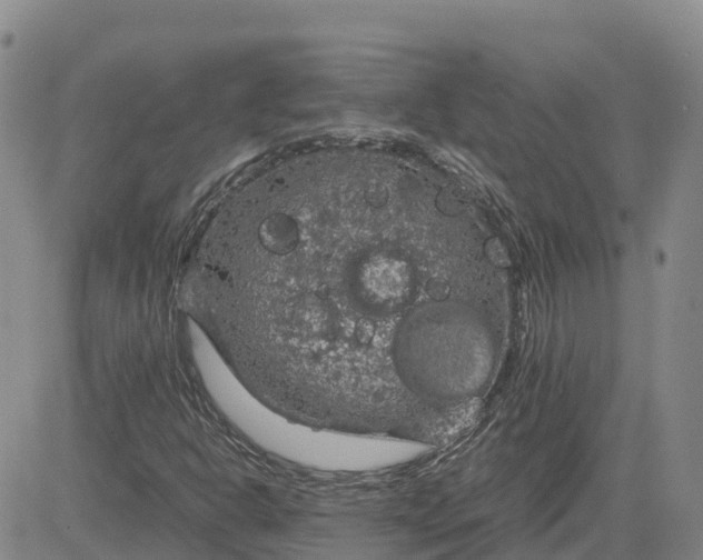 X0000083581302200702231645