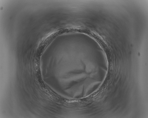 X0000083581303200702231645