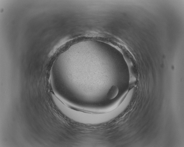 X0000083581304200702231645