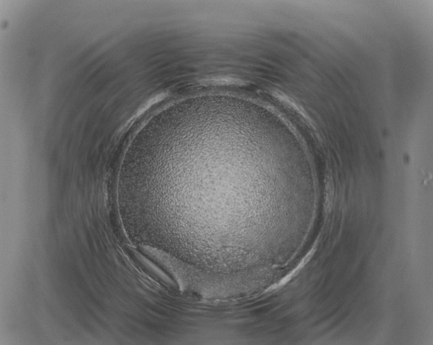 X0000083581305200702231645