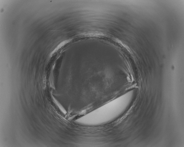 X0000083581306200702231645