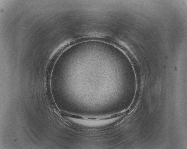 X0000083581307200702231645