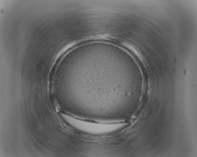 X0000083581308200702231645