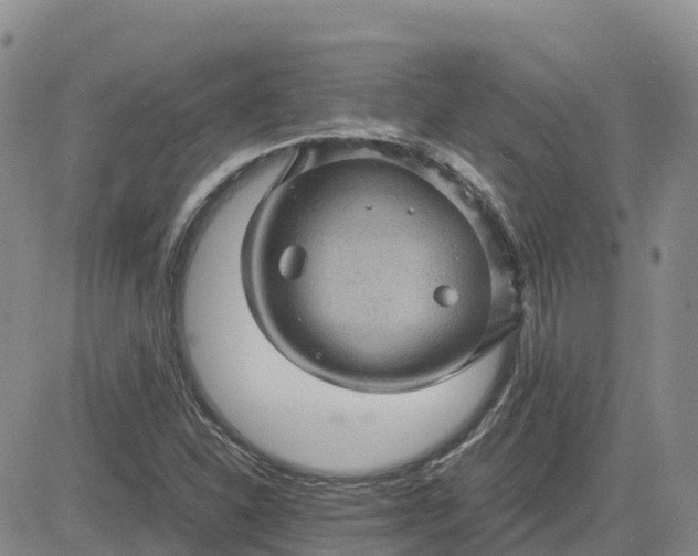 X0000083581310200702231645