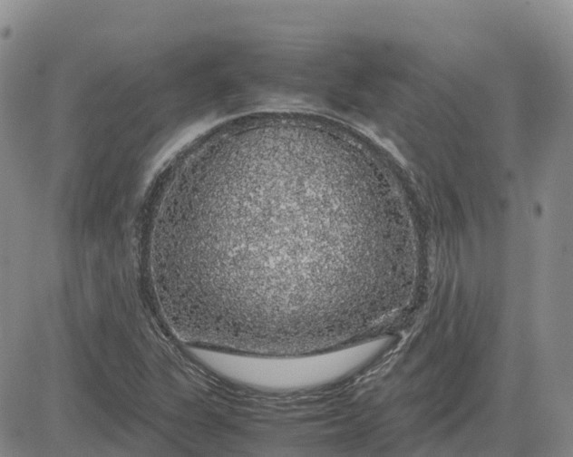 X0000083581311200702231645