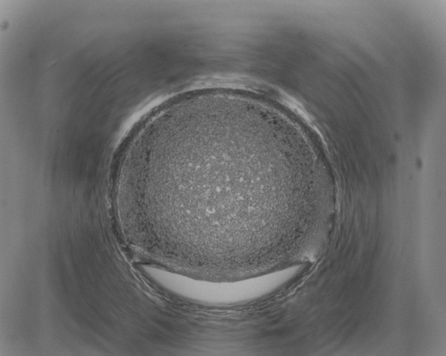 X0000083581312200702231645