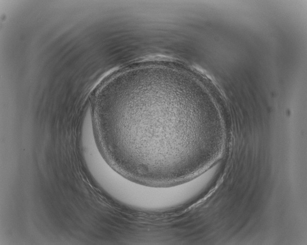 X0000083581313200702231645