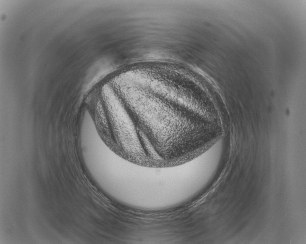 X0000083581314200702231645