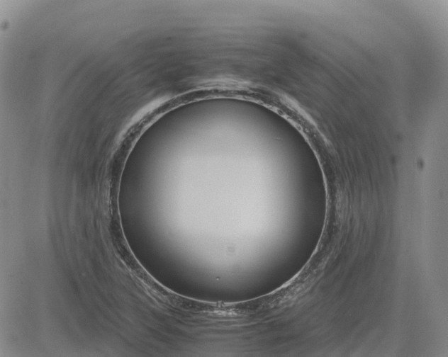 X0000083581315200702231645