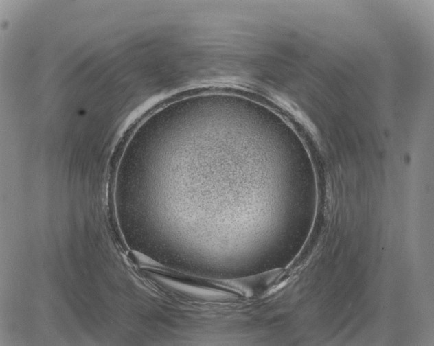 X0000083581316200702231645