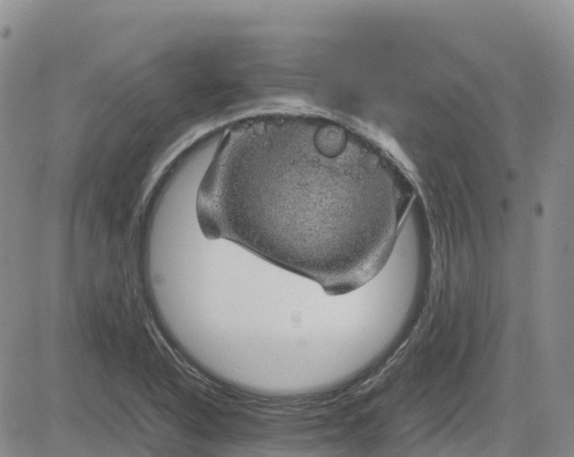 X0000083581318200702231645