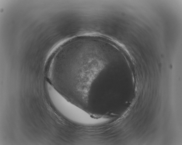 X0000083581319200702231645