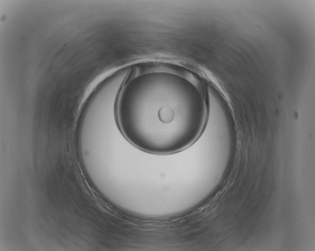 X0000083581320200702231645