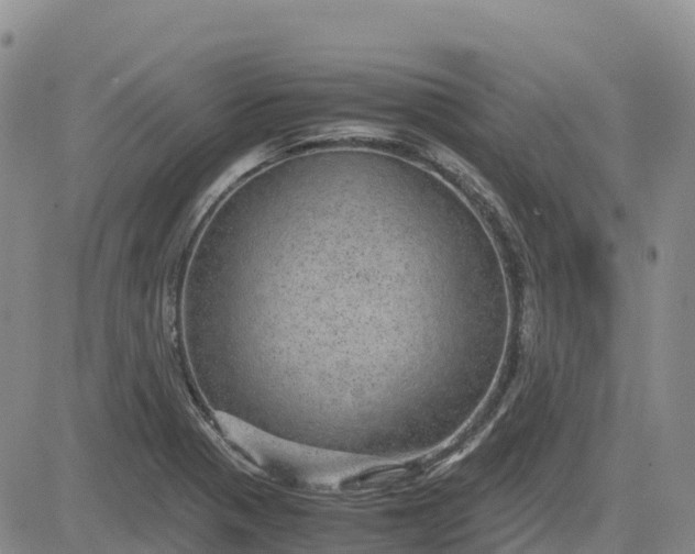 X0000083581321200702231645