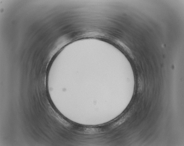 X0000083581322200702231645