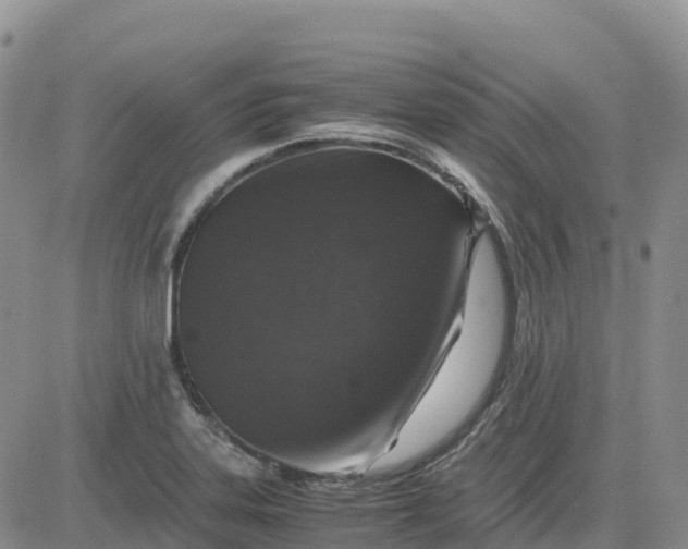 X0000083581323200702231645