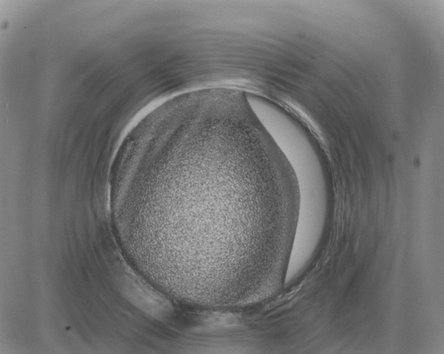 X0000083581324200702231645