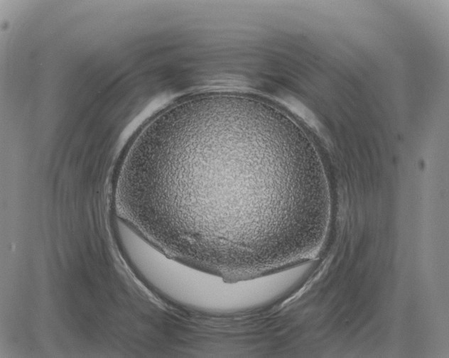 X0000083581325200702231645