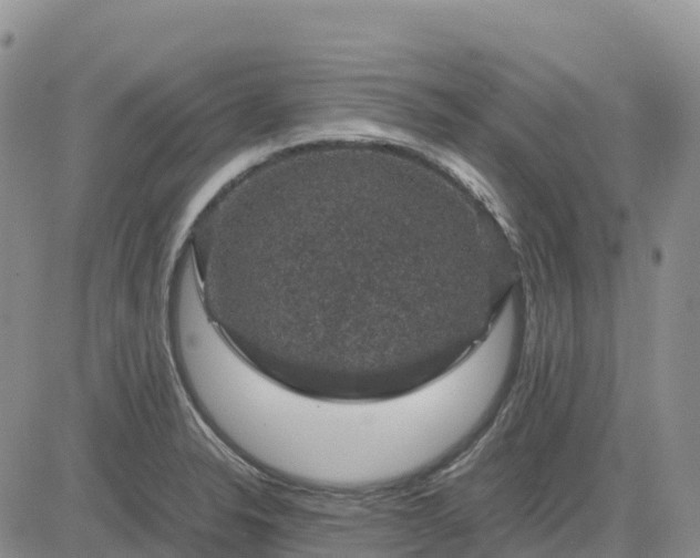 X0000083581326200702231645