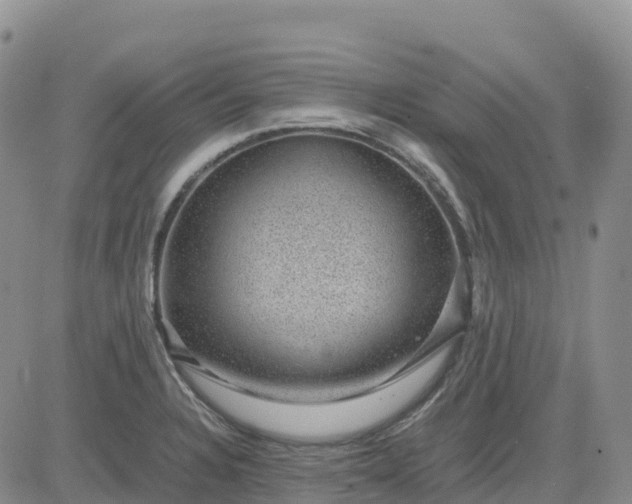 X0000083581328200702231645