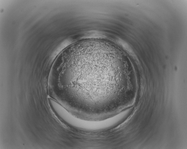 X0000083581329200702231645