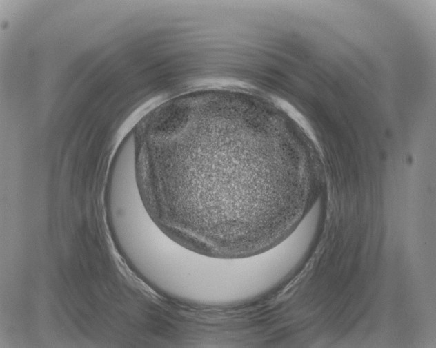 X0000083581330200702231645