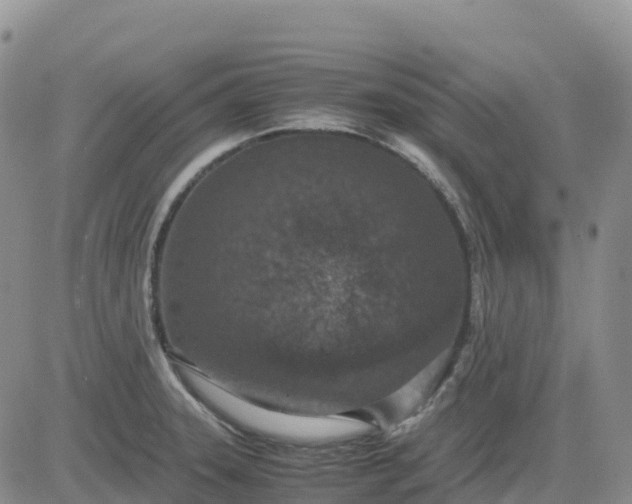 X0000083581331200702231645