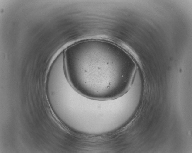 X0000083581332200702231645